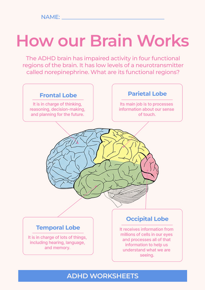 Kids ADHD Worksheet + Infographic