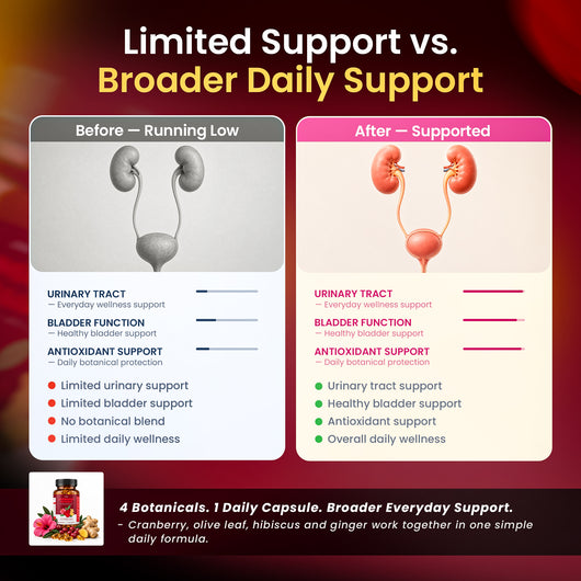 Natural – Cranberry Capsule Bladder + Urinary Tract Support for Adults